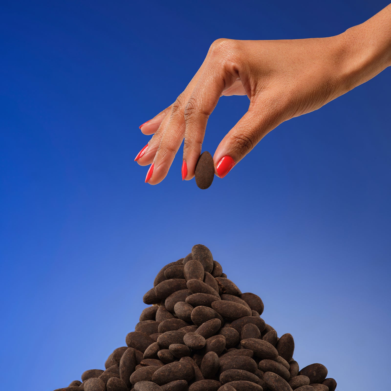 Dark Chocolate Cocoa Almonds