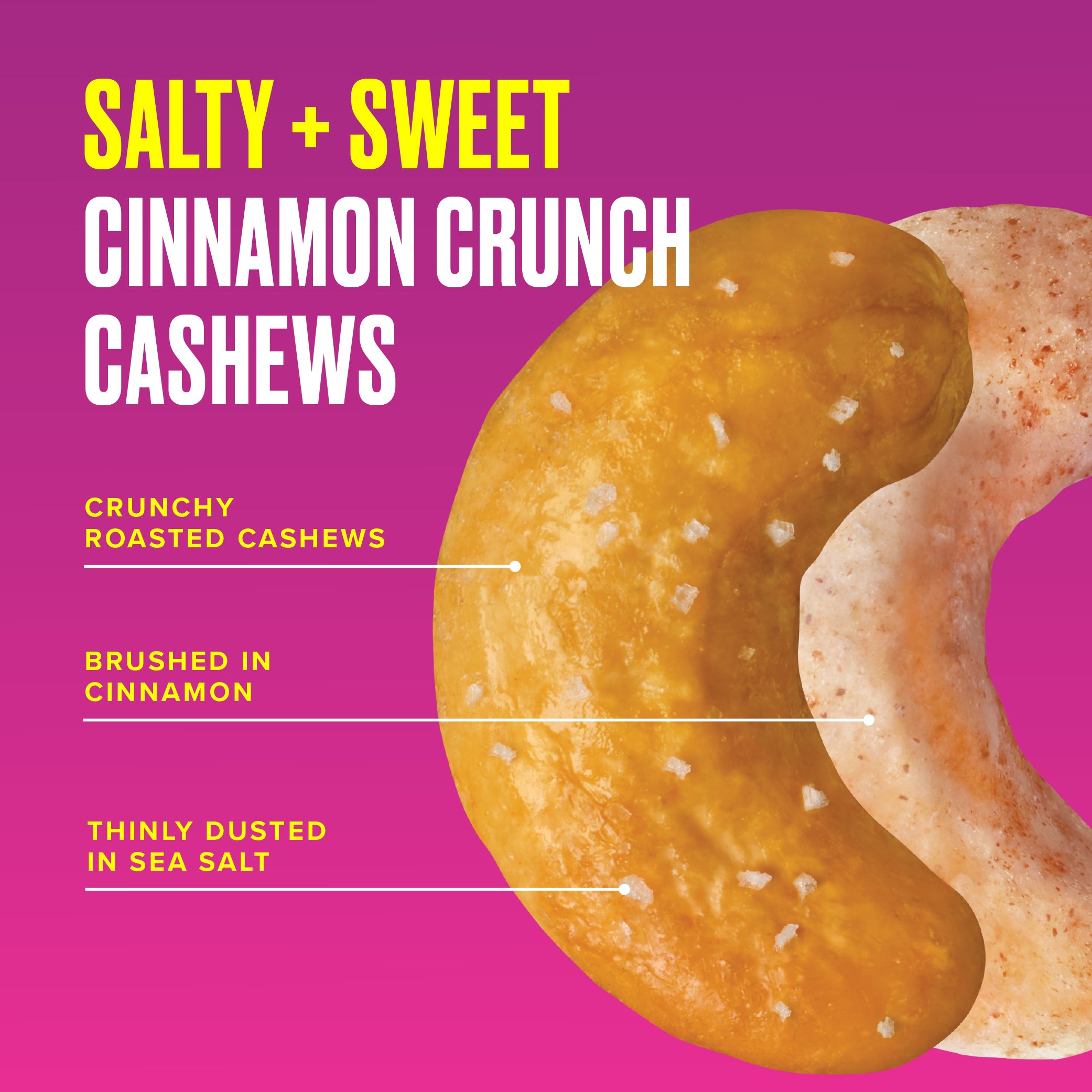 Salty + Sweet Cinnamon Crunch Cashews