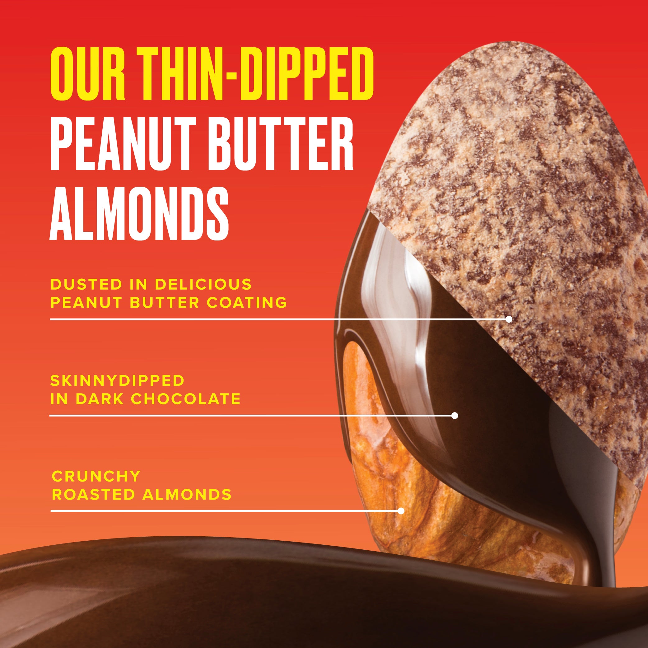 Dark Chocolate Peanut Butter Almonds